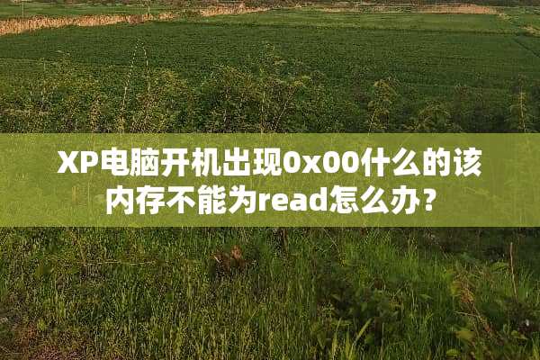 XP电脑开机出现0x00什么的该内存不能为read怎么办？