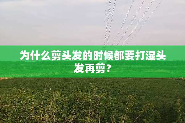 为什么剪头发的时候都要打湿头发再剪？