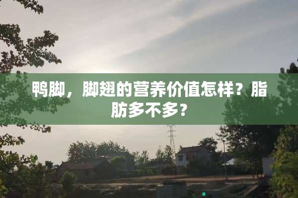 鸭脚，脚翅的营养价值怎样？脂肪多不多？