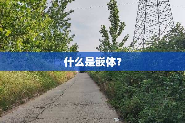 什么是嵌体？
