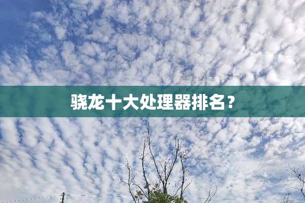 骁龙十大处理器排名？