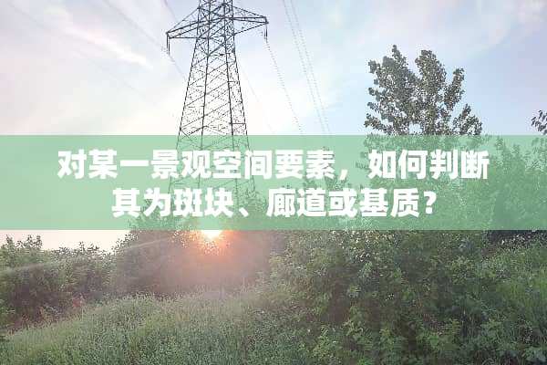对某一景观空间要素，如何判断其为斑块、廊道或基质？