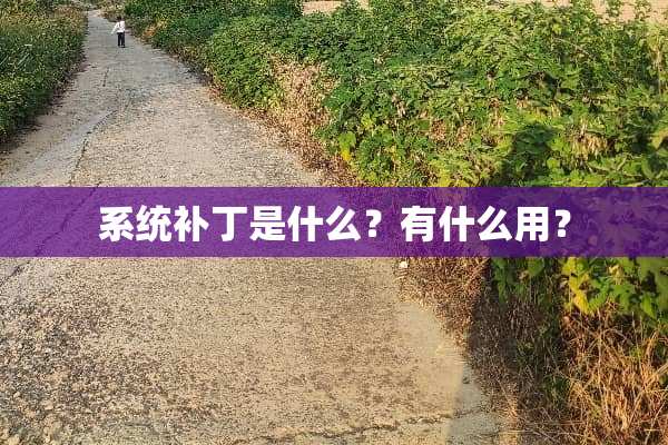 系统补丁是什么？有什么用？