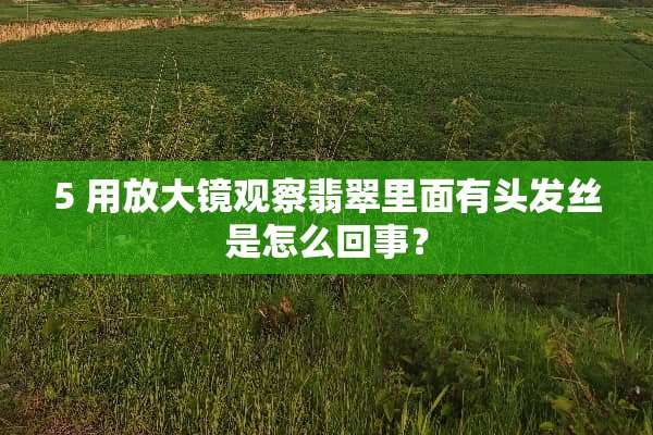 5 用放大镜观察翡翠里面有头发丝是怎么回事？
