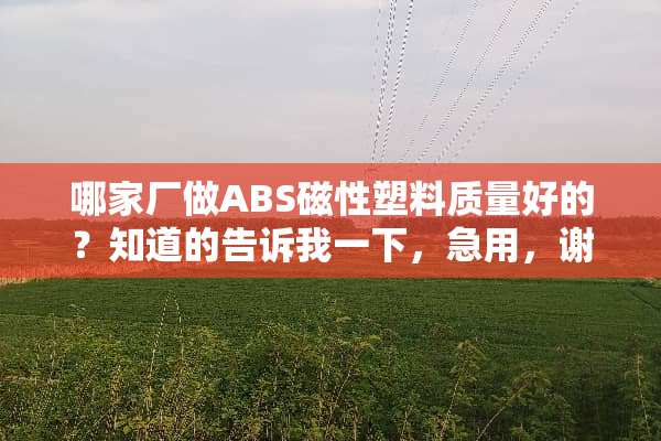 哪家厂做ABS磁性塑料质量好的？知道的告诉我一下，急用，谢谢！