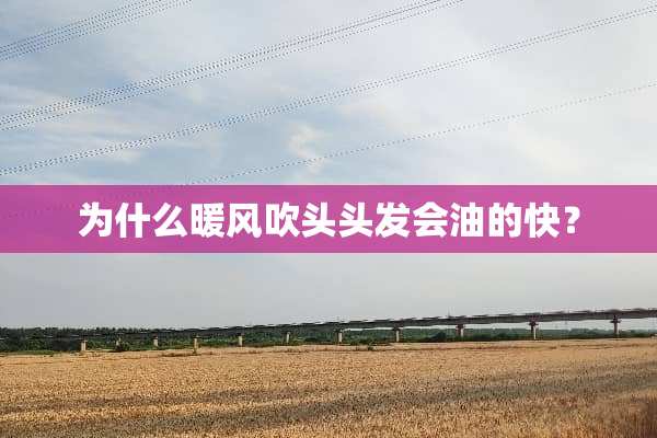 为什么暖风吹头头发会油的快？