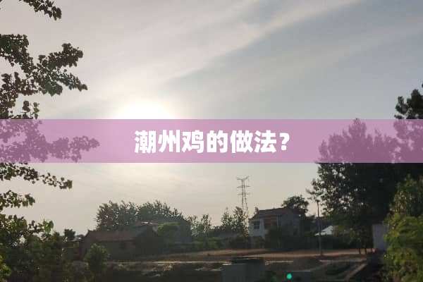 潮州鸡的做法？