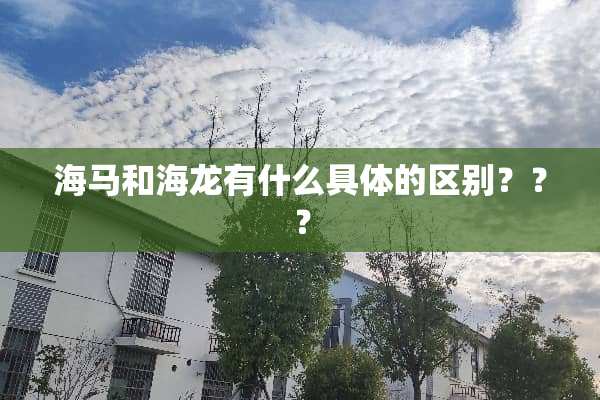 海马和海龙有什么具体的区别？？？