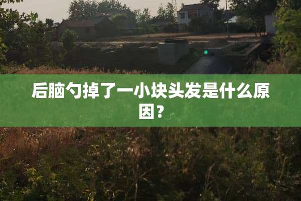 后脑勺掉了一小块头发是什么原因？