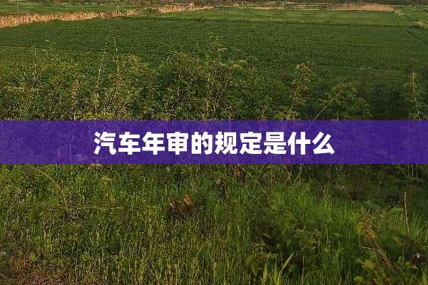 汽车年审的规定是什么