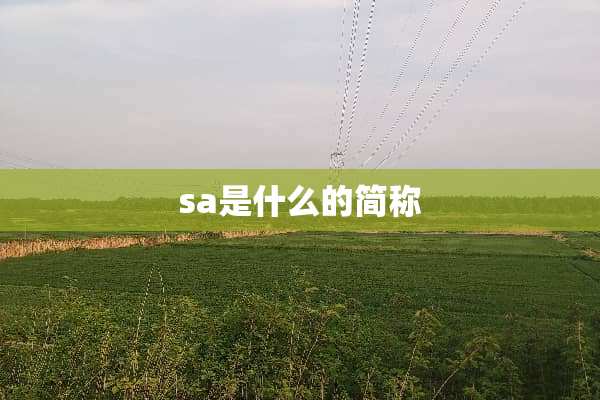 sa是什么的简称