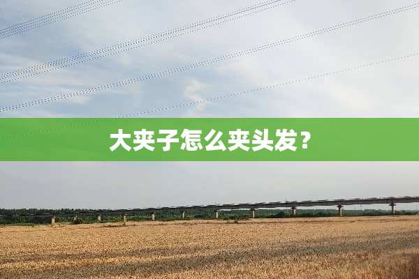 大夹子怎么夹头发？
