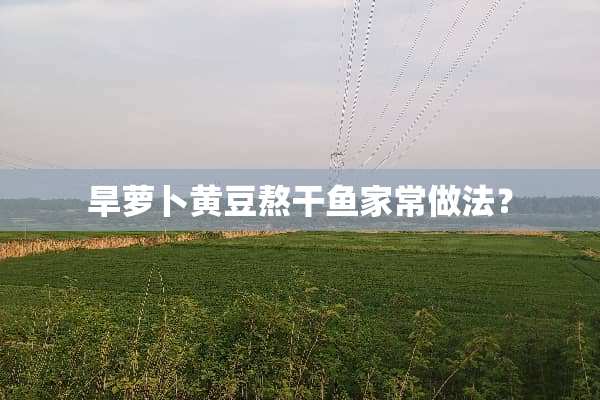 旱萝卜黄豆熬干鱼家常做法？