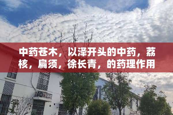 中药苍木，以泽开头的中药，荔核，扁须，徐长青，的药理作用？？？