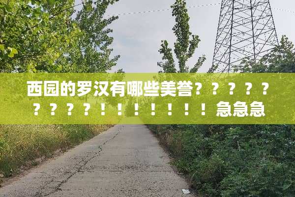 西园的罗汉有哪些美誉？？？？？？？？？！！！！！！！急急急急急急急急急急急急急