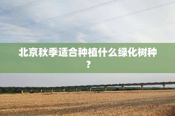 北京秋季适合种植什么绿化树种？