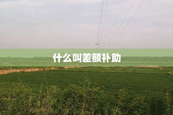 什么叫差额补助
