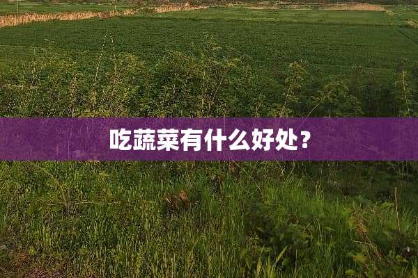 吃蔬菜有什么好处？