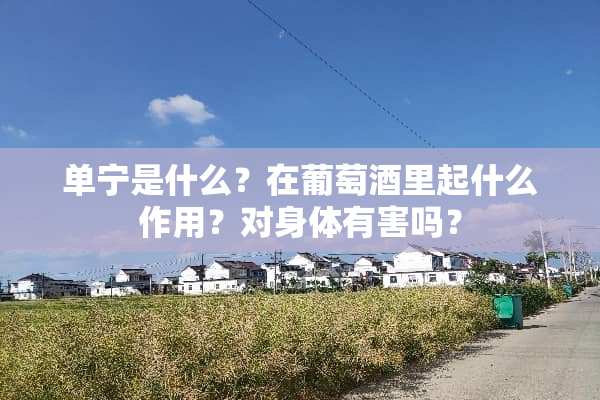 单宁是什么？在葡萄酒里起什么作用？对身体有害吗？