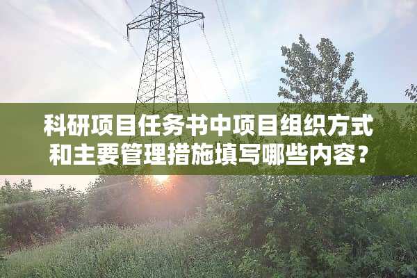 科研项目任务书中项目组织方式和主要管理措施填写哪些内容？