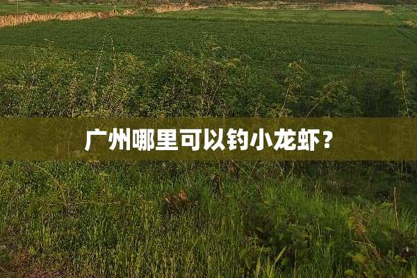 广州哪里可以钓小龙虾？
