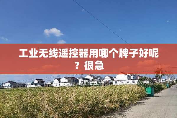 工业无线***用哪个牌子好呢？很急