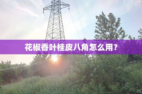 花椒香叶桂皮八角怎么用？