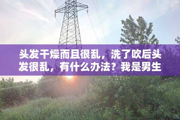 头发干燥而且很乱，洗了吹后头发很乱，有什么办法？我是男生？