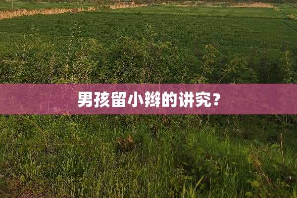 男孩留小辫的讲究？