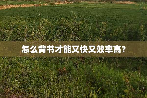 怎么背书才能又快又效率高？