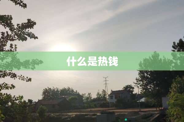 什么是热钱