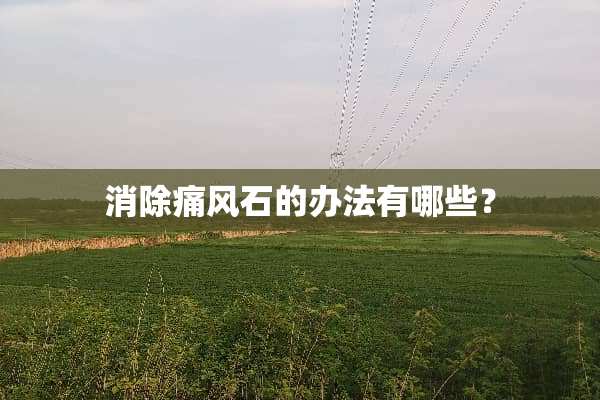消除痛风石的办法有哪些？