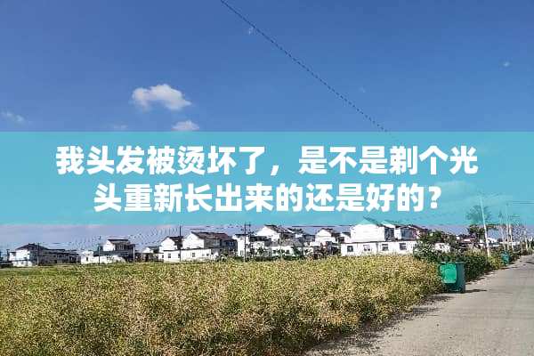 我头发被烫坏了，是不是剃个光头重新长出来的还是好的？