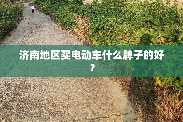 济南地区买电动车什么牌子的好？