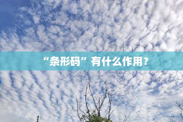 “条形码”有什么作用？
