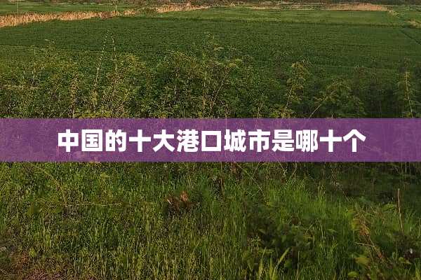 中国的十大港口城市是哪十个