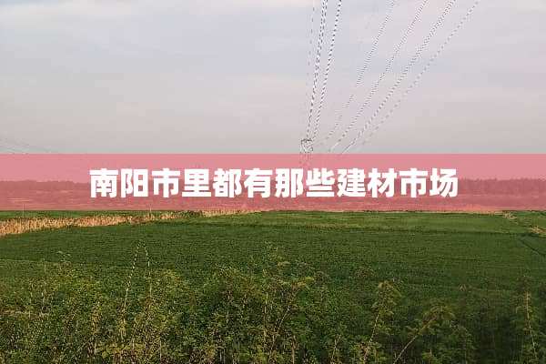 南阳市里都有那些建材市场