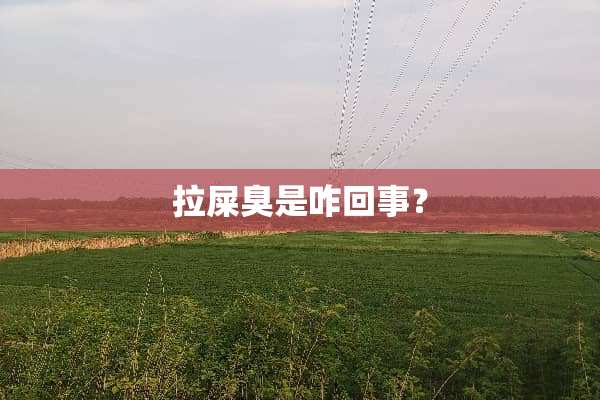 拉屎臭是咋回事？