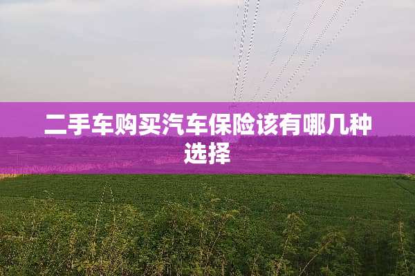二手车购买汽车保险该有哪几种选择