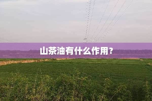 山茶油有什么作用？