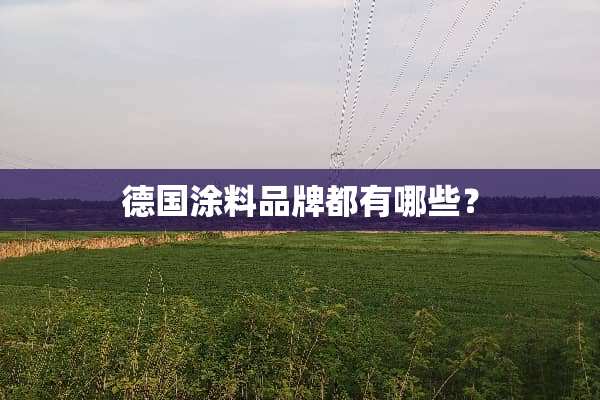 德国涂料品牌都有哪些？