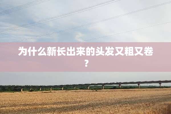 为什么新长出来的头发又粗又卷？