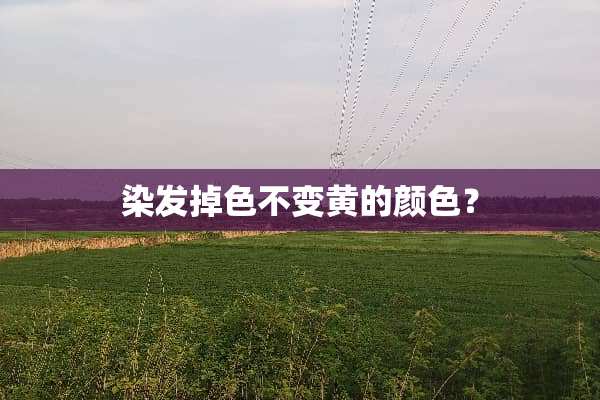 染发掉色不变黄的颜色？