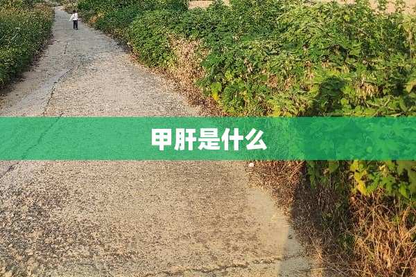 甲肝是什么