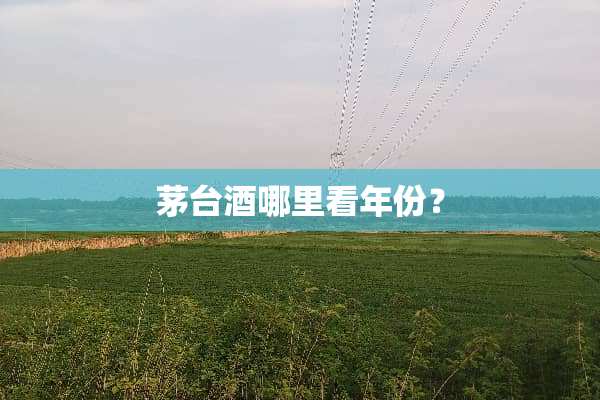 茅台酒哪里看年份？