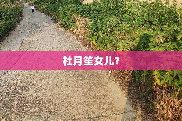 杜月笙女儿？