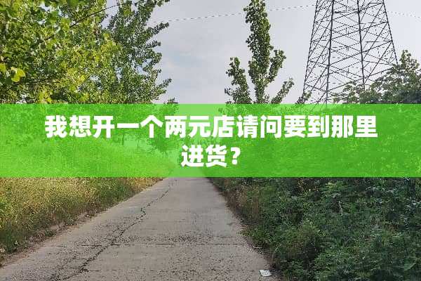 我想开一个两元店请问要到那里进货？