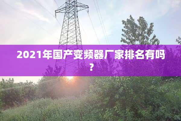 2021年国产变频器厂家排名有吗？