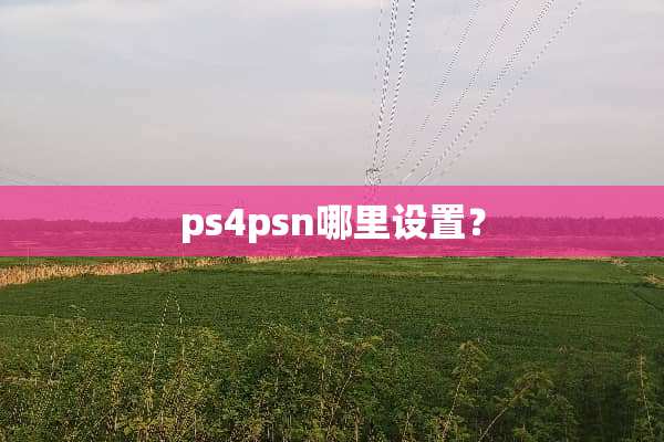 ps4psn哪里设置？