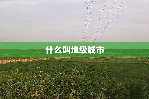什么叫地级城市